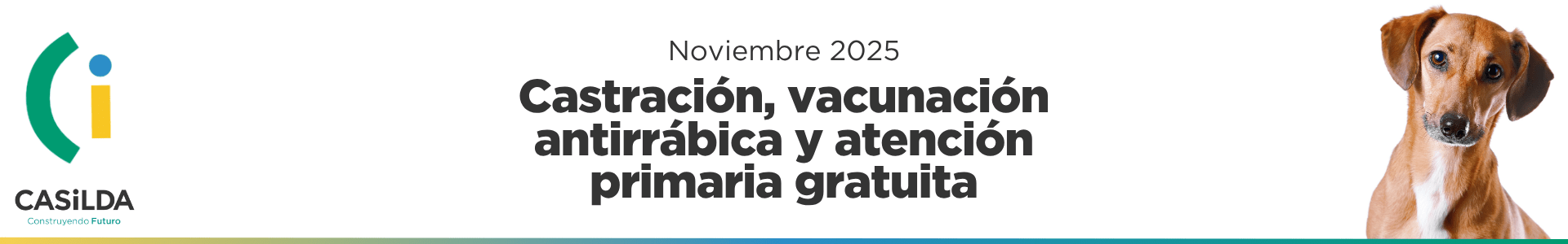 Sanidad animal – Noviembre